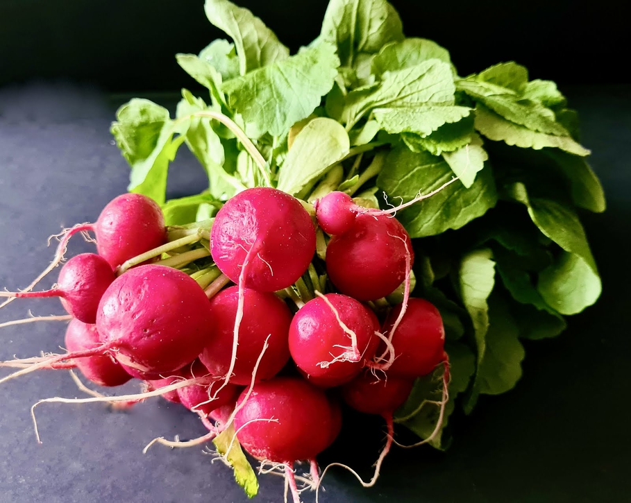 Mariatotal - Le radis : le légume du mois d'avril